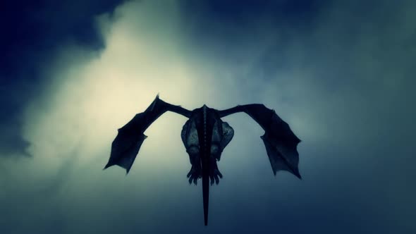 A Back Of A Dragon Flying In The Sky
