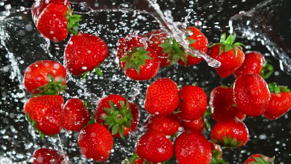 Super Slow Motion Shot of Flying Fresh Strawberries and Water Splash Isolated on Black at 1000 Fps