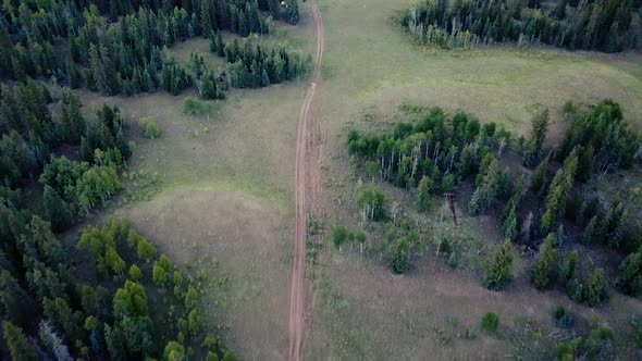 Aerial Drone View Following Forest Trail To Campers Out In a Colorado National Forest 