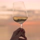 Hand Holding Wine Glass Against the Sea - VideoHive Item for Sale