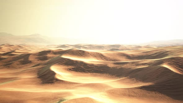 Sunset Over the Sand Dunes in the Desert