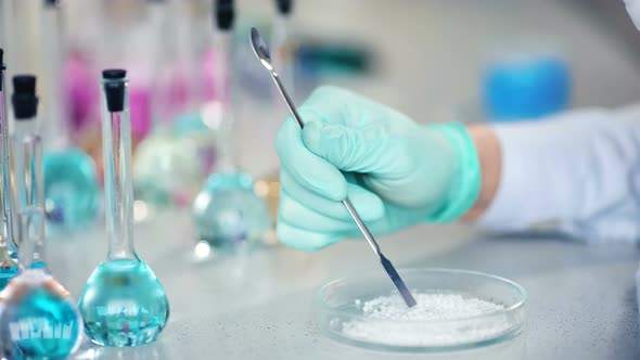 Closeup of Scientist's Hand Preparing Powder on Glass Dish for Some Research in a Laboratory