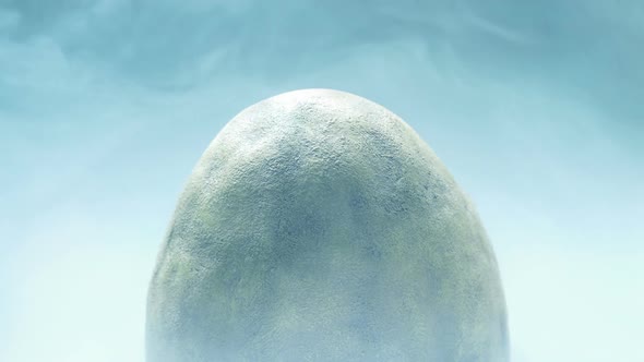 Large Egg In Cold Storage