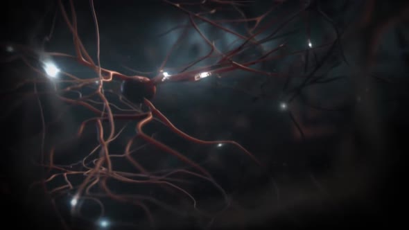 Neuron and synapses alt