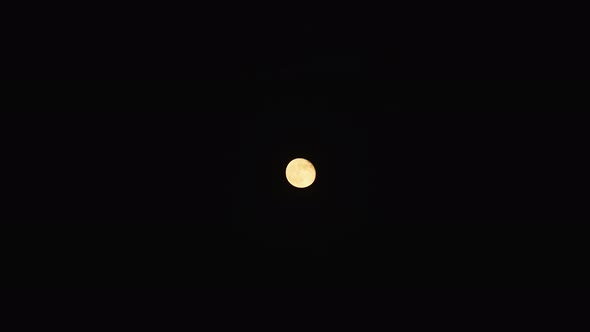 Real Big Yellow Moon on the Black Night Sky