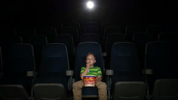 Smiling Little Boy Watching Movie in a Cinema