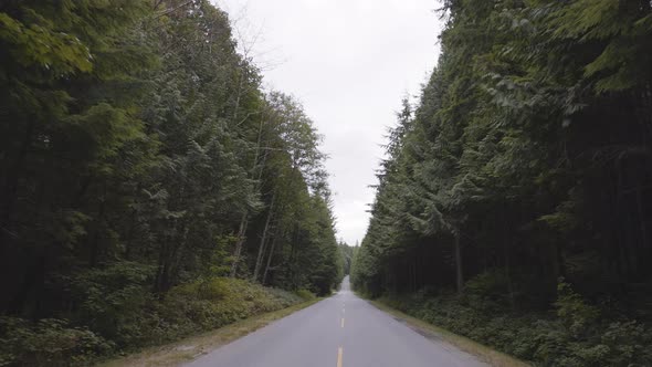 Scenic Road in the Green Canadian Rain Forest