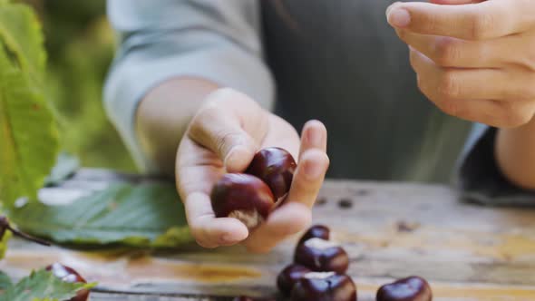 Hands of woman playing with chestnuts