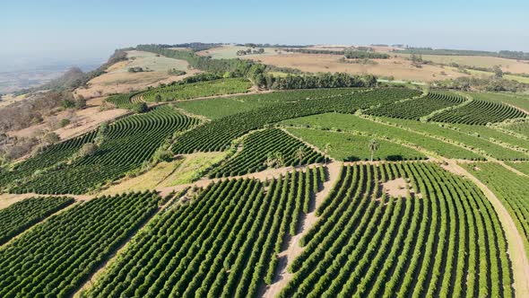 Rural countryside scenic aerial landscape. Countryside scenery.