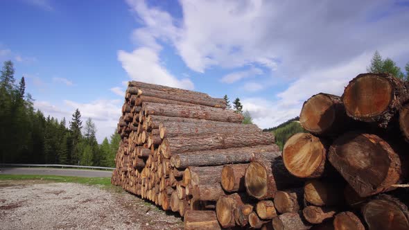 Pile of Wooden Logs in the Middle of the Mountains