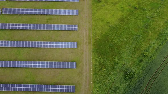 Aerial View of Solar Panels Farm Solar Cell with Sunlight