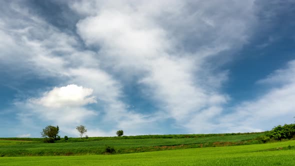 Rural landscape