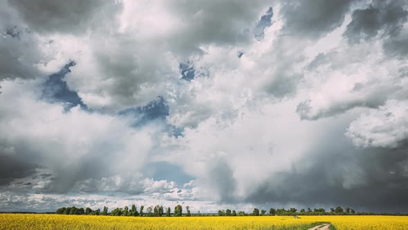 Dramatic Sky With Rain Clouds On Horizon Above Rural Landscape Camola Colza Rapeseed Field. Country