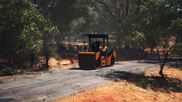 Road Roller Tractor in the Forest