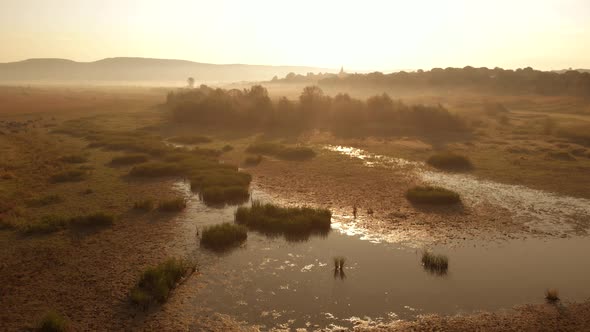 Field with Swamp on a Sunny Day