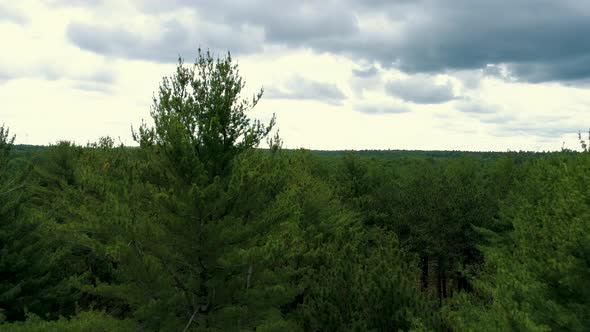 Slow ramp over the tree tops.