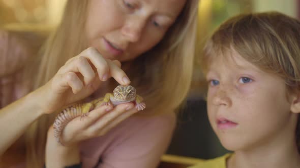 A Woman and Her Little Son Visit a Cafe with Exotic Animals