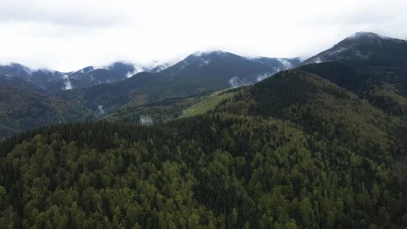 Ukraine, Carpathian Mountains: Beautiful Mountain Forest Landscape. Aerial