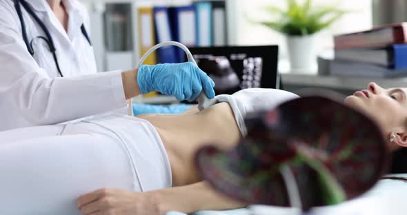 Ultrasound Diagnostics of Stomach on Abdominal Cavity and Liver