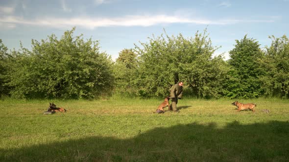 Cynology Training Exercise.