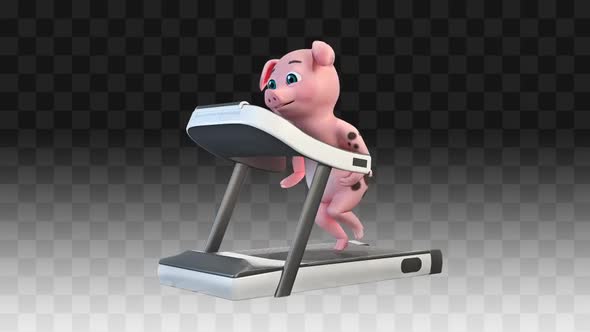 Pig Running On A Treadmill