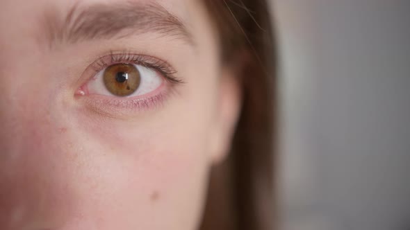 Female Woman Open Eye Close Up Macro