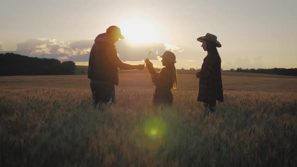 Silhouette Family Farmers Working in a Wheat Field at Sunset. Young Parents with Their Daughter