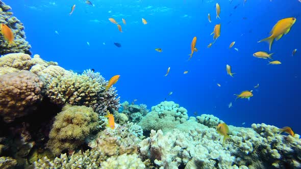 Underwater Surface Blue Sea Water