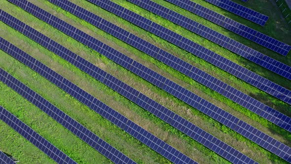 Solar Panel in Solar Farm