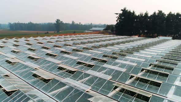 Green farm covered with rooftop glass 4k
