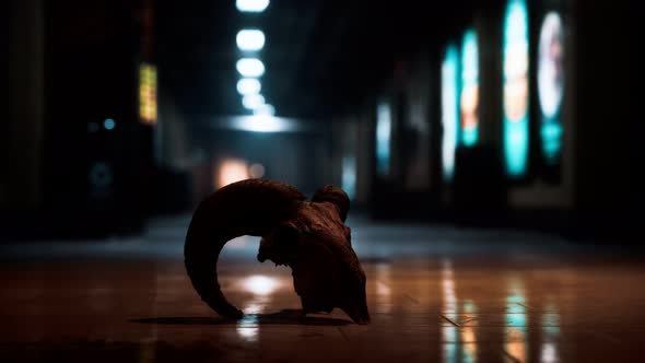 Old Ram Skull in Underground Subway alt