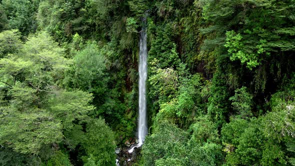 Static view of a waterfall hidden among trees in the Cochamo Valley, Chile.