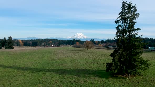 A beautiful crisp fall day in Washington State.  Ariel footage of green pasture with the snow-capped