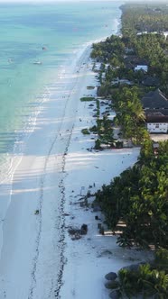 Vertical Video Boats in the Ocean Near the Coast of Zanzibar Tanzania