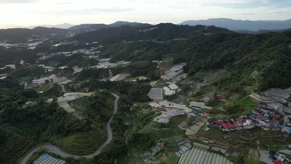 Cameron Highlands, Pahang Malaysia