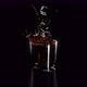 Whiskey Splash - VideoHive Item for Sale