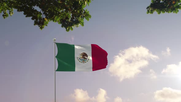 Mexico Flag With  Modern City 