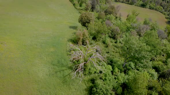 Aerial Shot. Beautiful Italian Tuscany. View of Small Towns or Villas.