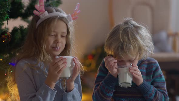 Cheerful Caucasian Little Girl and Boy Drinking Milk on Christmas at Home Looking at Camera Smiling