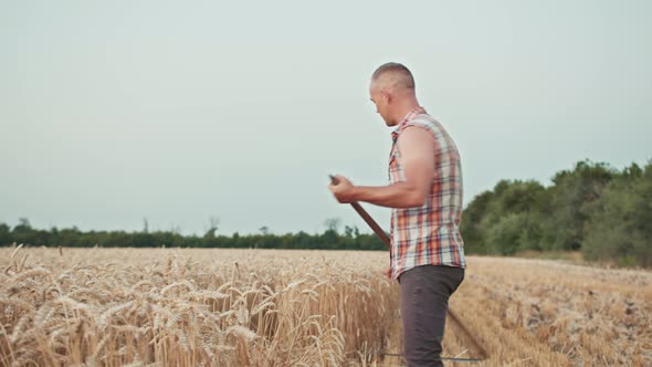 Guy Farmer Mows the Wheat in the Field