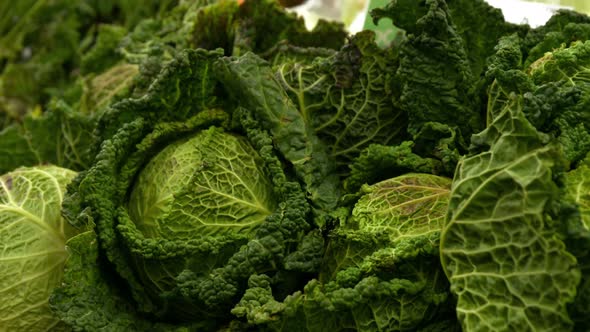 Close-up of vegetables in organic section