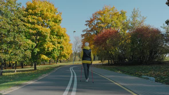 Woman Takes Care of Her Health By Nordic Walking in Sunny Fall Park Rear View