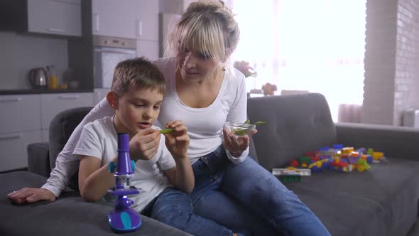 Boy Looking at Plant After Microscopic Examination