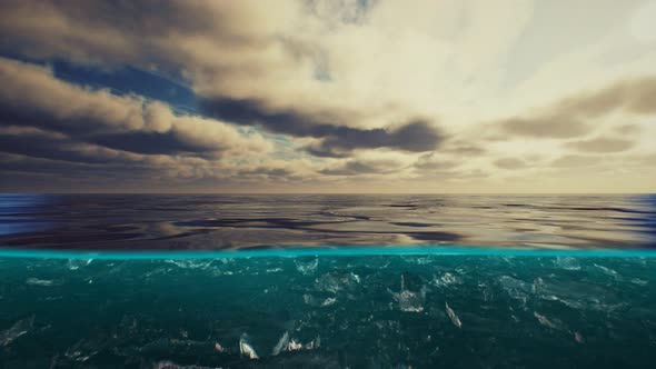 Split View Over and Under Water in the Caribbean Sea with Clouds