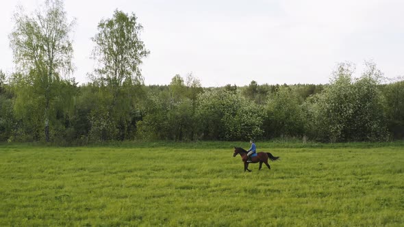 A Human Rides a Horse Across a Field