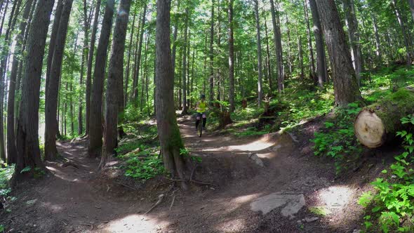 Woman riding unicycle in the forest