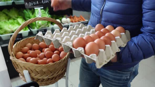 Whole Fresh Chicken Eggs in a Paper Tray