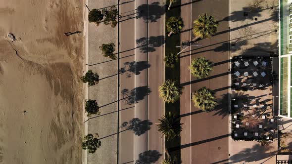 Close Up Top Down View Over Roads with Palm Trees and Few Vehicles