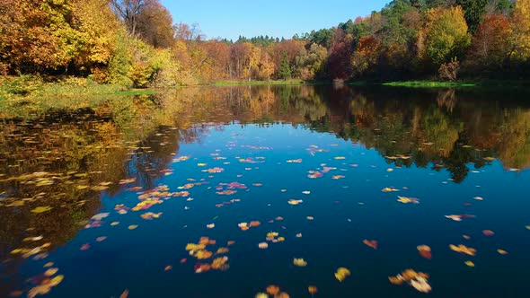 Colorful Autumn Forest Wood on the Lake