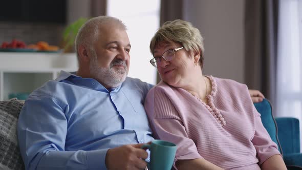 Cheerful Mature Man and Woman are Sitting on Couch in Apartment and Communicating Cheerfully